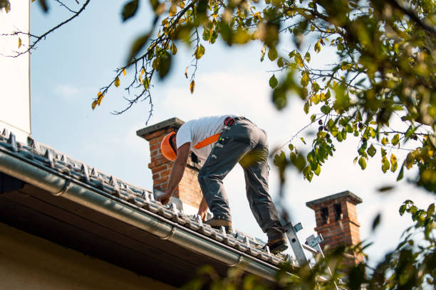 Best Local Roofing Companies  in Hermantown, MN
