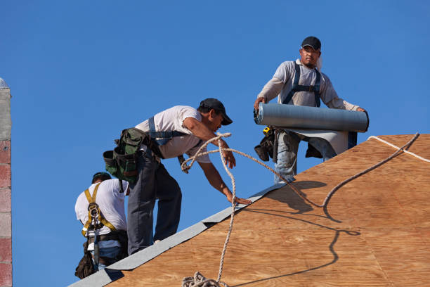 Best Metal Roofing Contractor  in Hermantown, MN